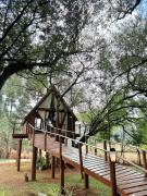 Casa na Árvore em Guarapuava