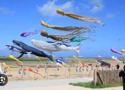 Top Grand-Fort-Philippe