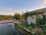 Le colibri du Luberon