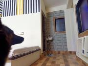 The Rajabhoj palace Hotel