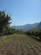 Guesthouse Camping the peaceful of Koman