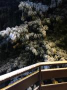 Wood and Fire Chalet