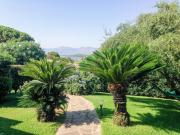 Top Capo Coda Cavallo