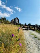 Top Sierpnica Top Sierpnica