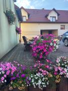 Top Krajno Pierwsze Top Krajno Pierwsze