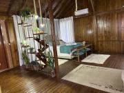 Cabana Imperial Green