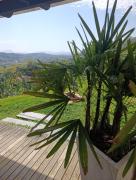 Top Blumenau