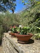 Top Pieve Santo Stefano