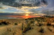 Top Norfolk
