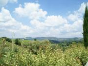 Top Tavarnelle in Val di Pesa