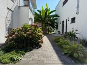 Top Friesenheim