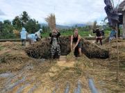 Top Banyuwedang