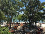 Top Dassia Top Dassia