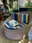 Hotel Pousada Casuarinas