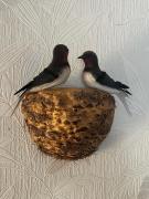 Top Munster im Heidekreis