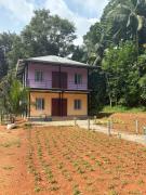 Top Palakkad Top Palakkad