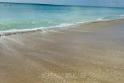 Top Emerald Isle