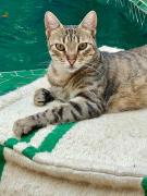 Riad privé Sadaka Bassin Rooftop