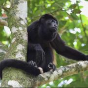 Beautiful Family Farm in Pacoche