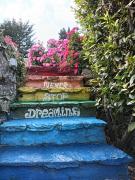 Podere Palazzolo (ADULTS ONLY)