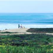 Top Porto Covo Top Porto Covo