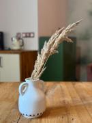 Top Katowice Top Katowice