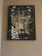 Top Eureka Top Eureka