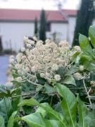 Top Montaigu-Vendée