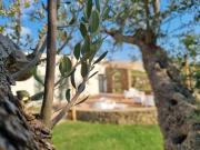 Top Capaccio-Paestum