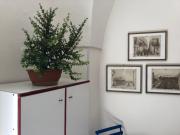 Top Brindisi