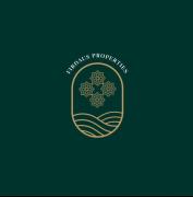 belgian studio Apt 2