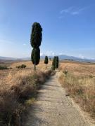Top Pienza