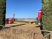 Top Pienza