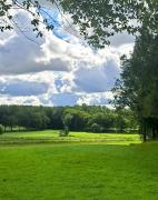 Top Polanów Top Polanów