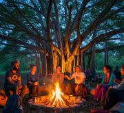 INDRAS NEST - Studio Apartments