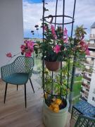 Top Ciechanów Top Ciechanów