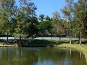Top Cape Coral