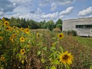 Sfeervol chalet midden in de natuur