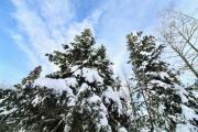 Top Duck Creek Village