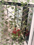 Top Estación El Salto