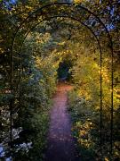 Wooden house in Käpylä