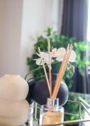 Top Birmingham Top Birmingham