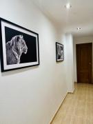 Top El Altet Top El Altet