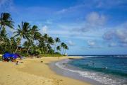 Top Koloa