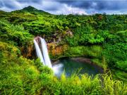 Top Koloa