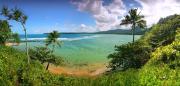 Top Koloa