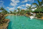 Top Koloa