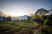 Top Kintamani