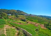 Top Ooty
