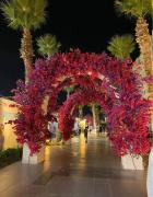 PortoGolf , Porto walk Marina splash